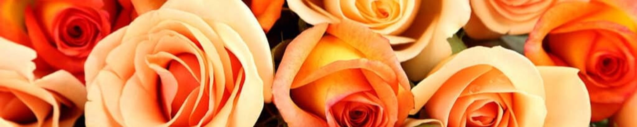 Cover photo for Mary Susan Love's Obituary
