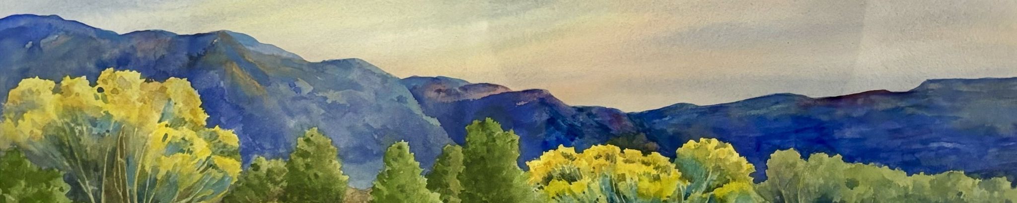 Cover photo for Ginny Ferrara's Obituary