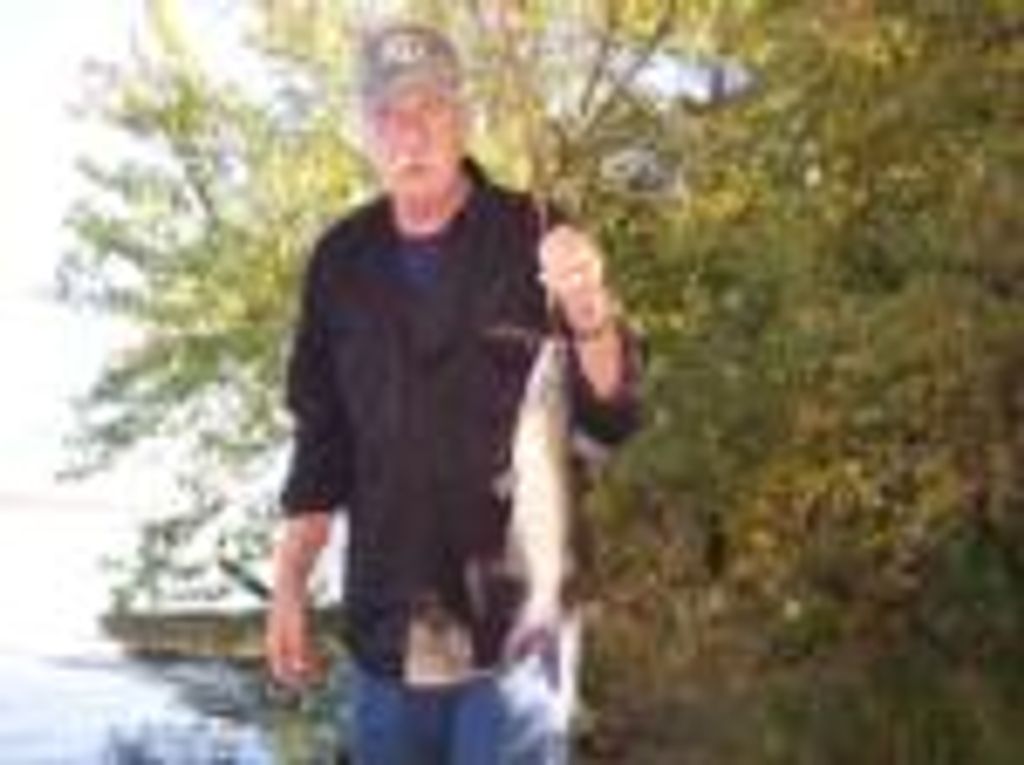 Donald James Dalberg Sr. Profile Photo