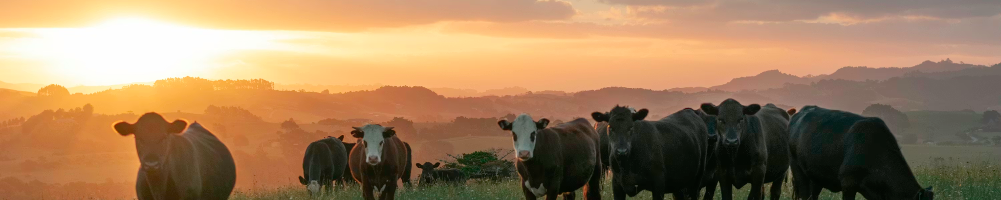 Cover for Robert Frances Ihm's Obituary