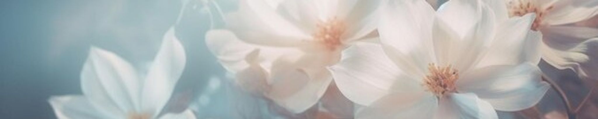 Cover photo for Gloria Jean Dickens's Obituary