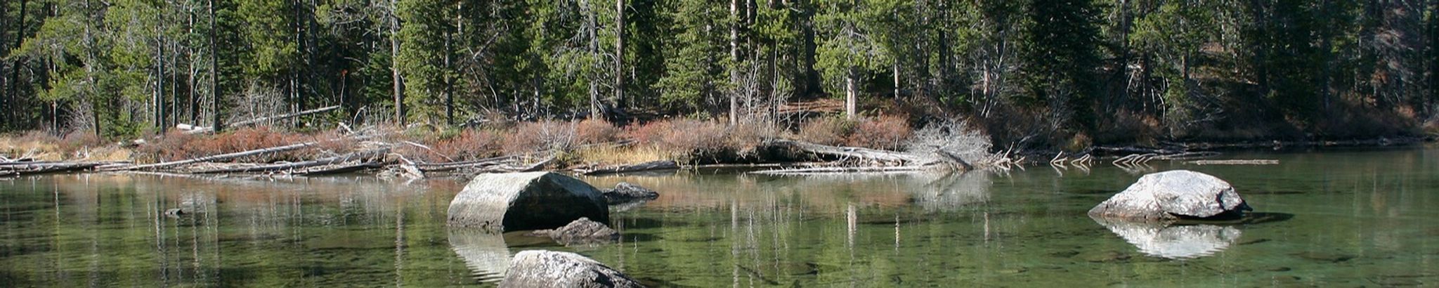 Cover photo for Jackie Bailey's Obituary