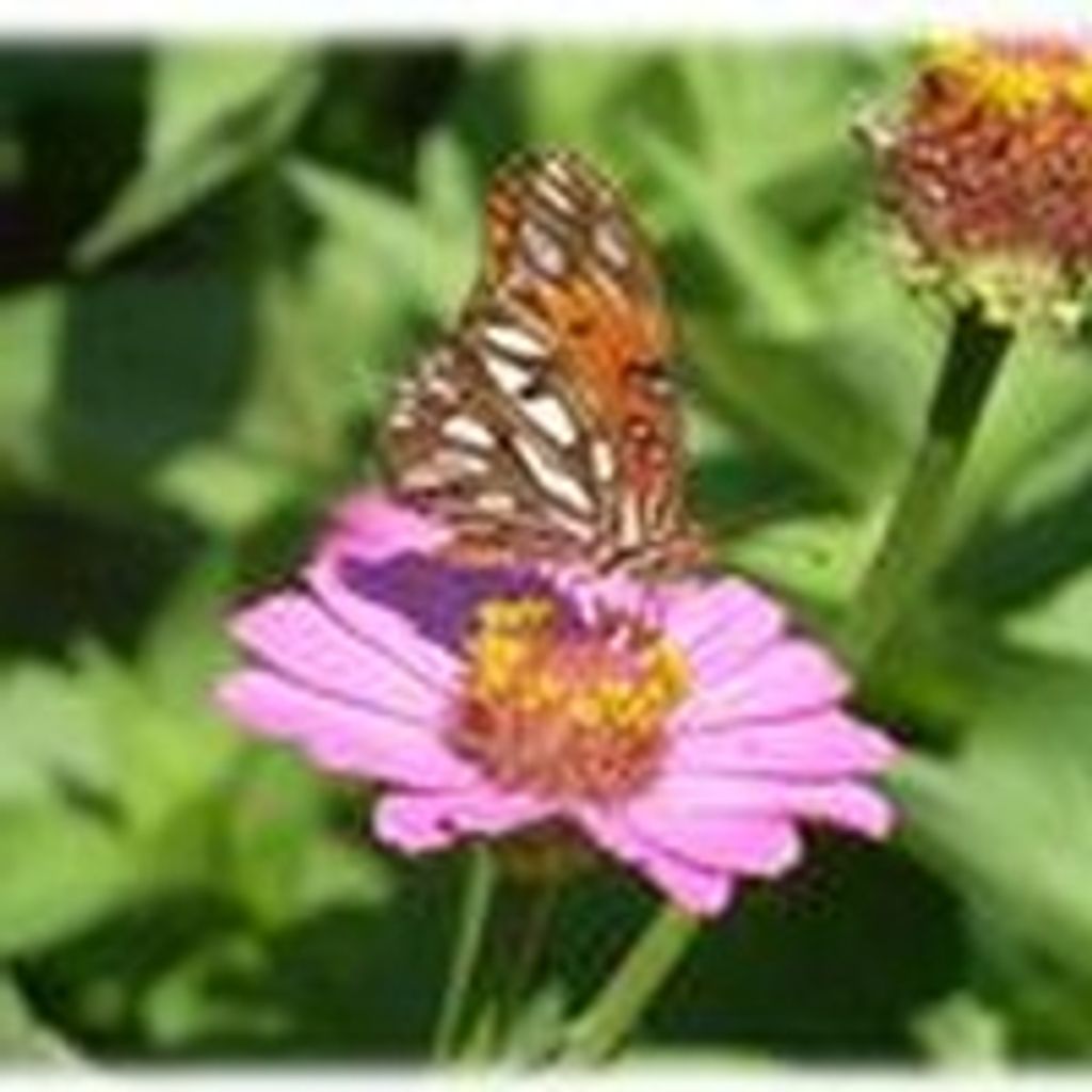 Annual  Family Tribute