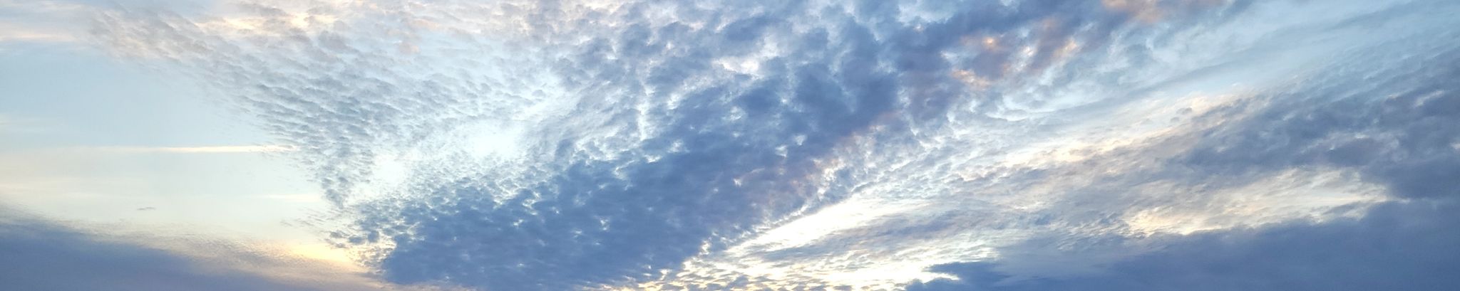 Cover for Joan Eileen Evans's Obituary