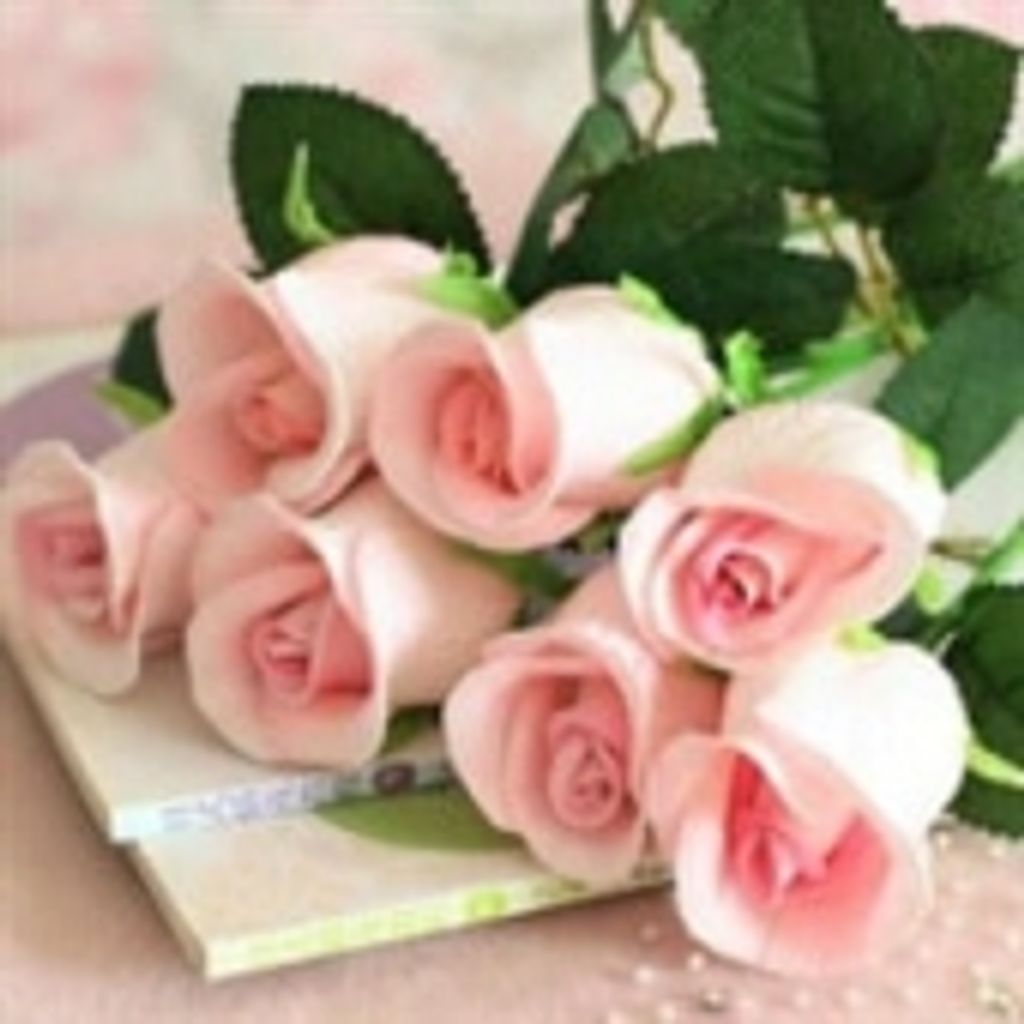 Wylena Patrick Mckibben