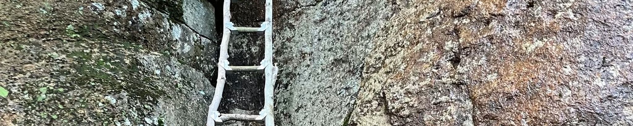 Cover for Roger N. Albert's Obituary