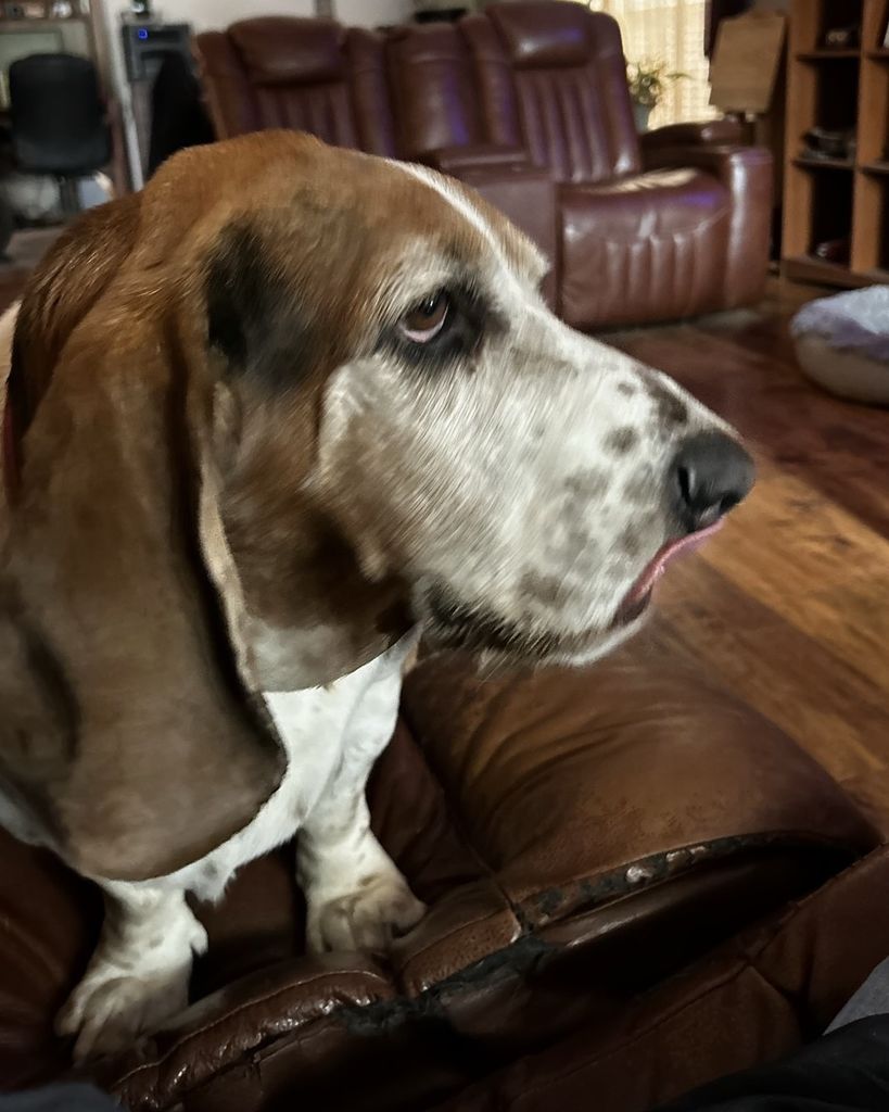 Sloopy Hale Profile Photo