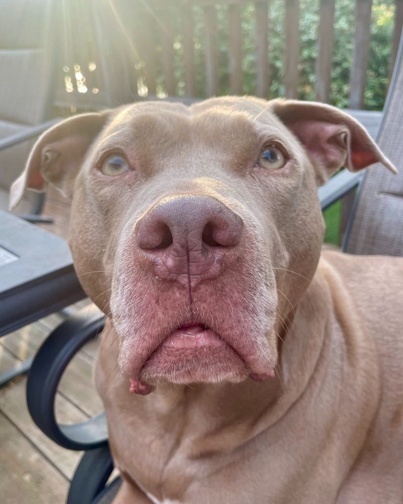 Ellie Helms Profile Photo