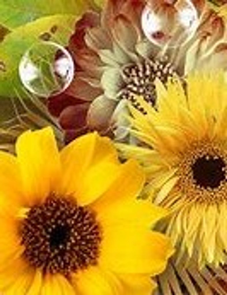 Jacquline Fay Cromwell Profile Photo