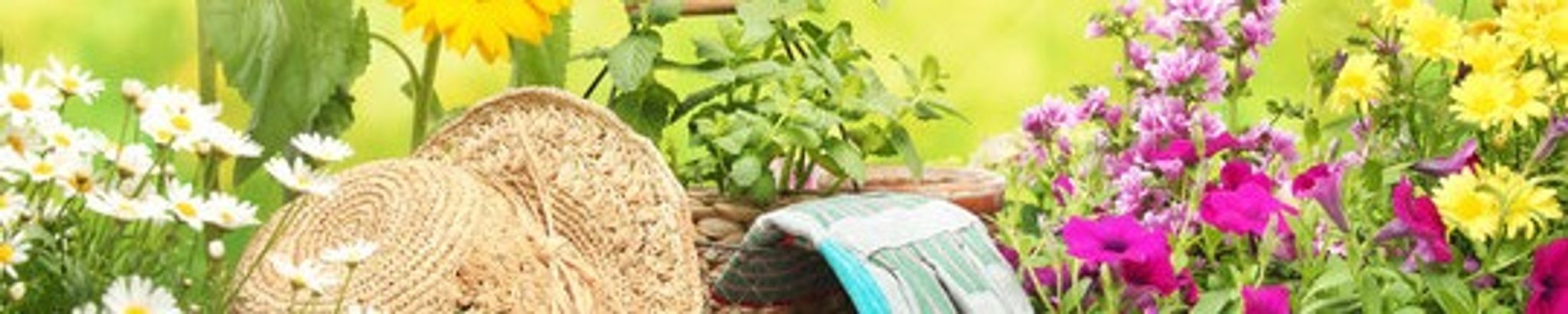 Cover for Mary Stoner's Obituary