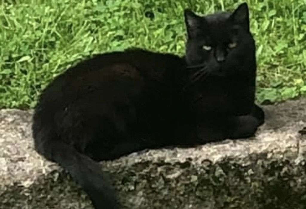 Salem Cartwright
