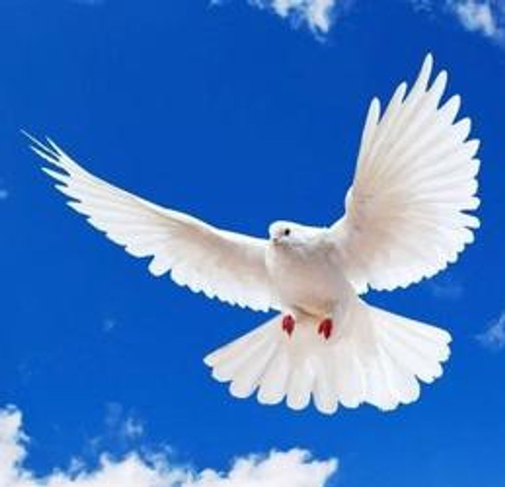 Christine Rodgers Tillery