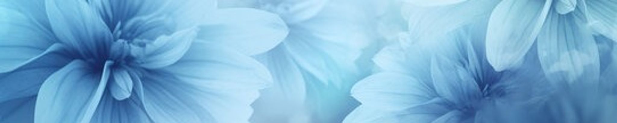 Cover photo for Catherine Conn's Obituary