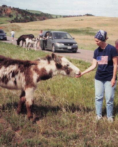 Sharon Lorriane Foss's obituary image