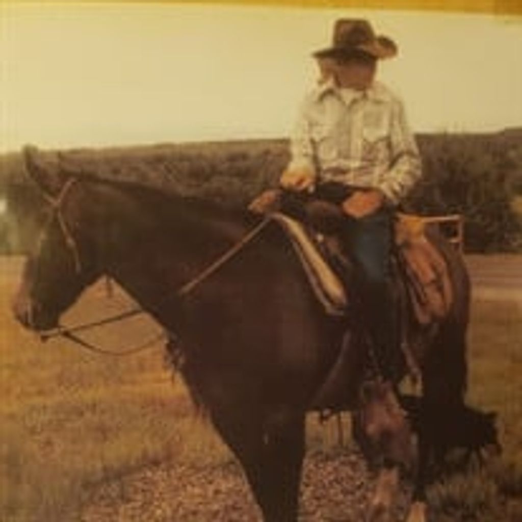 Lawrence B. Heckenlively