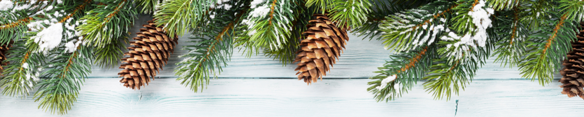 Cover for Lisa Stewart Nielsen's Obituary