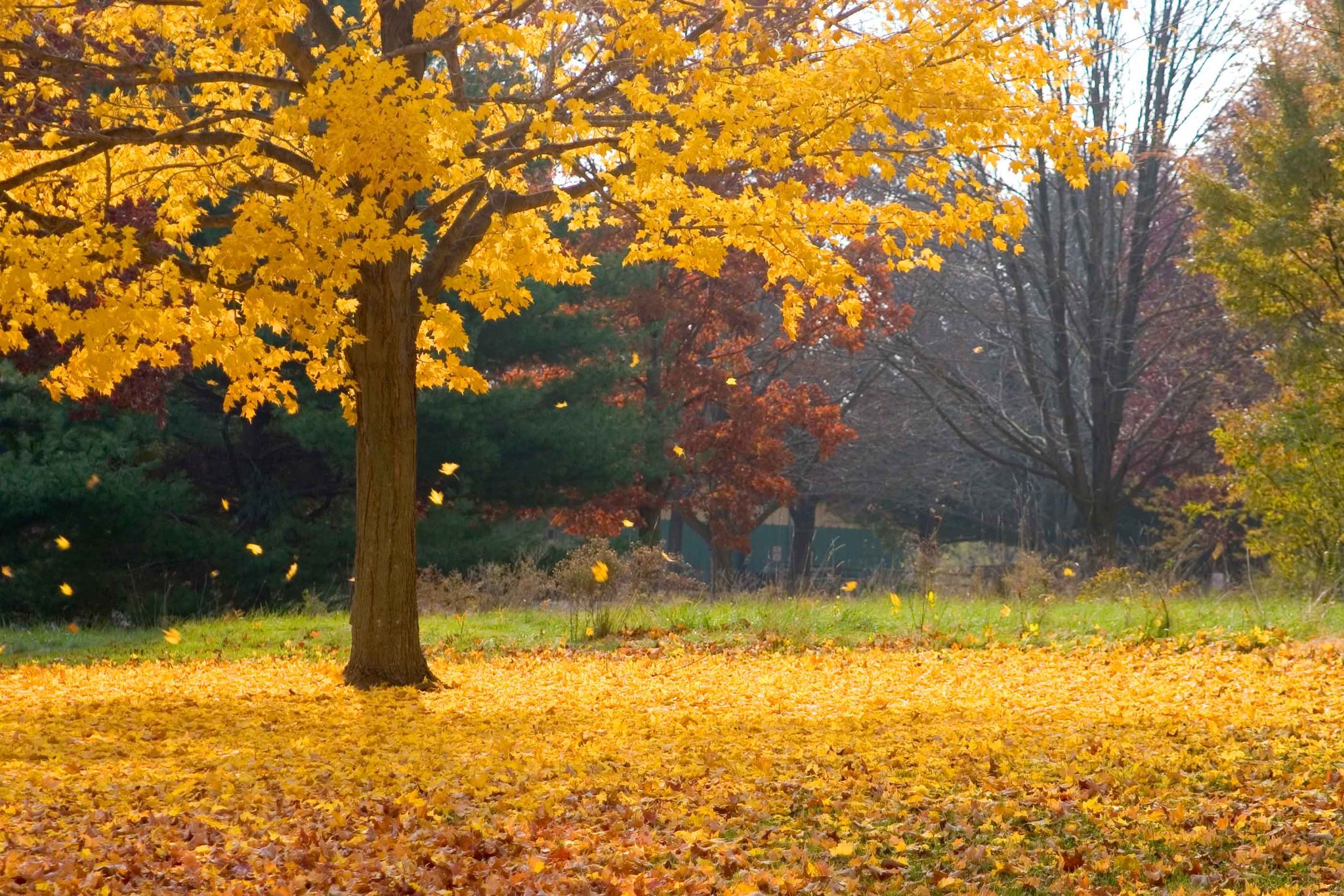 Cover photo for Richard E. Myers's Obituary