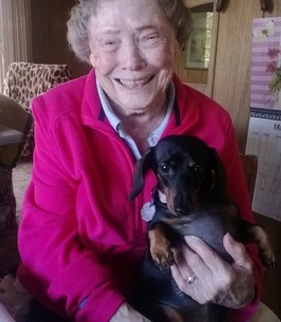 Elaine Lessard Tanner Profile Photo