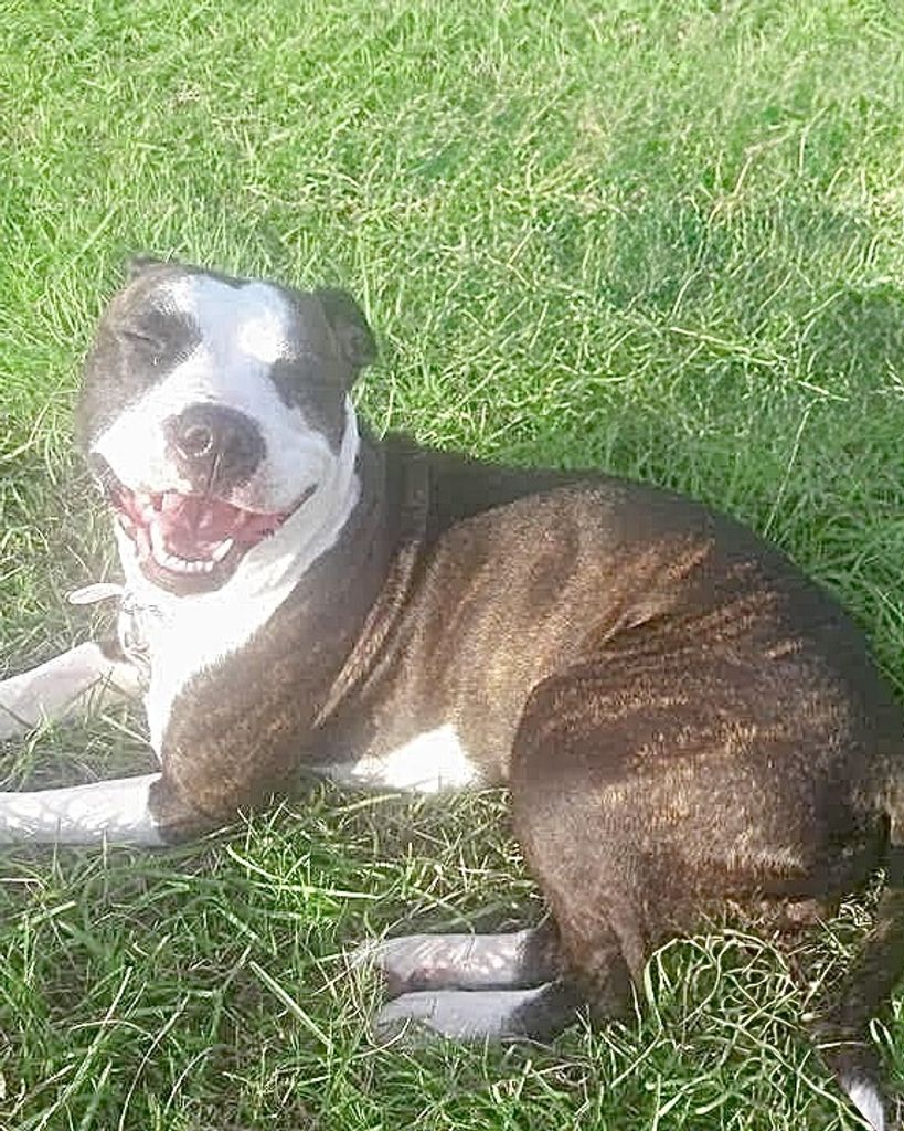 Heidi Sitton Profile Photo