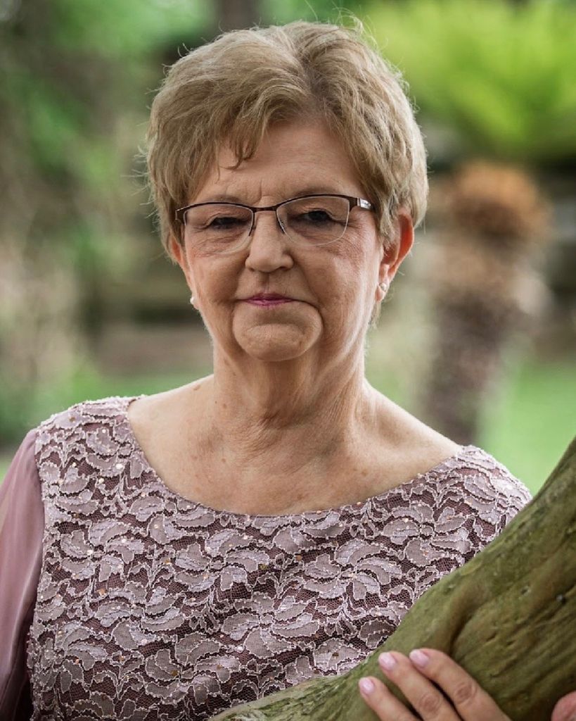 Patricia Ann Vyoral McLelland