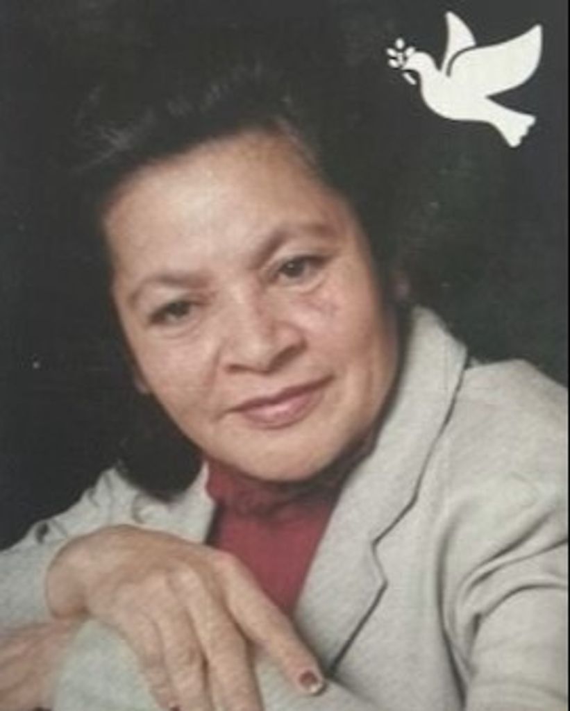 SIXTA SANTOS ROCHA