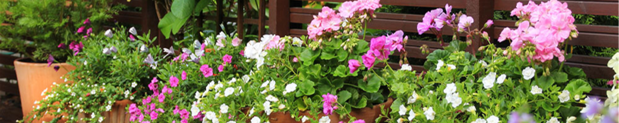 Cover photo for Sallie Beam Guthrie's Obituary