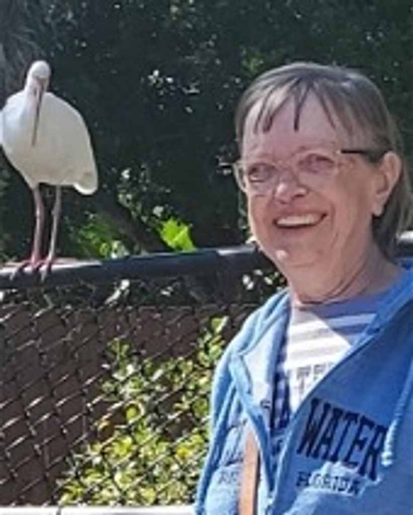 Jeri Ann (Knutson) Wimer