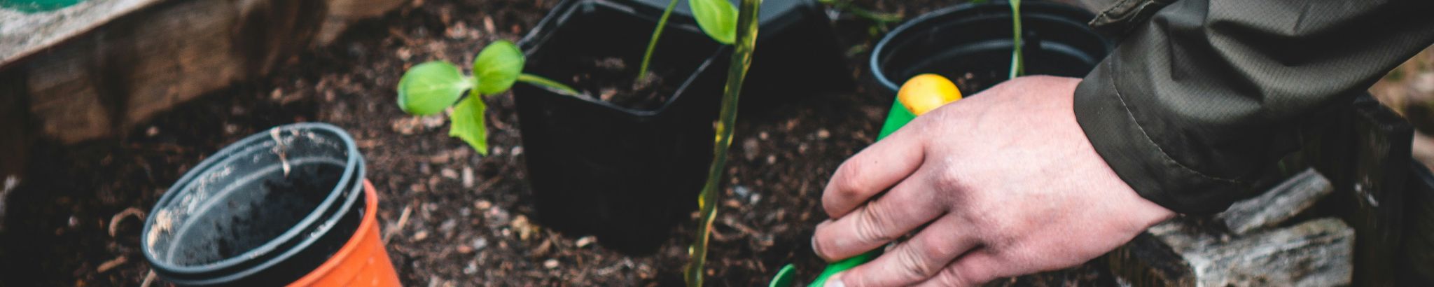 Cover for Richard Kenneth Gamble's Obituary