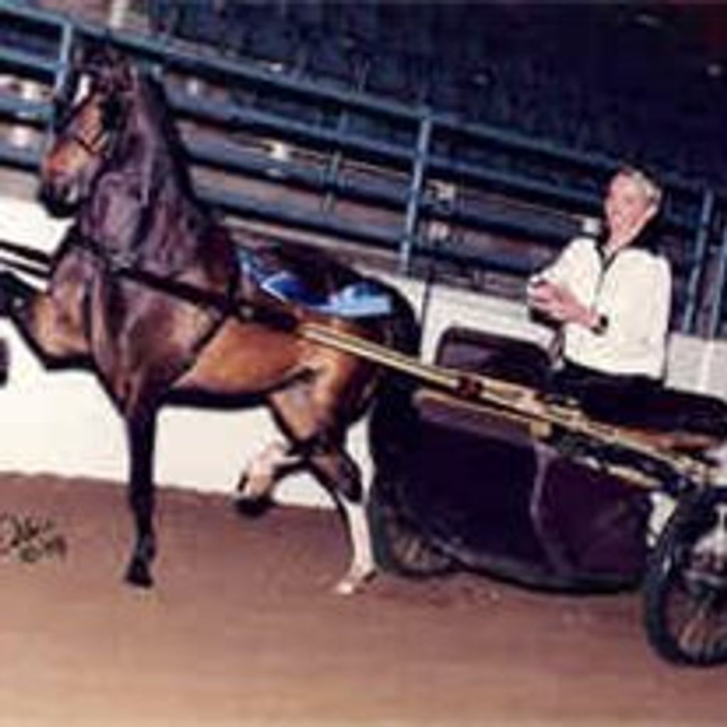 Norman J. Hertz