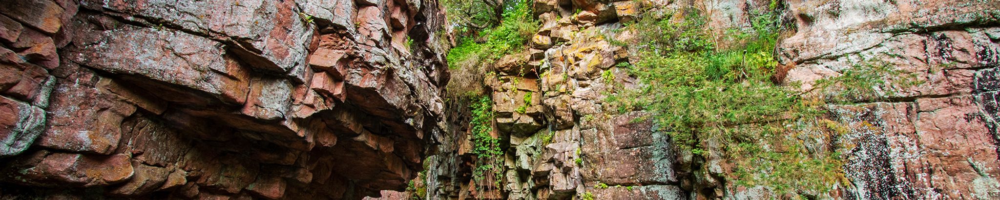 Cover for Tom LaMoyne Godbey's Obituary