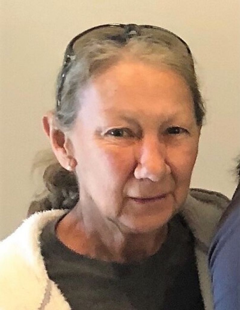 Janet Carol (Todd)  Rains