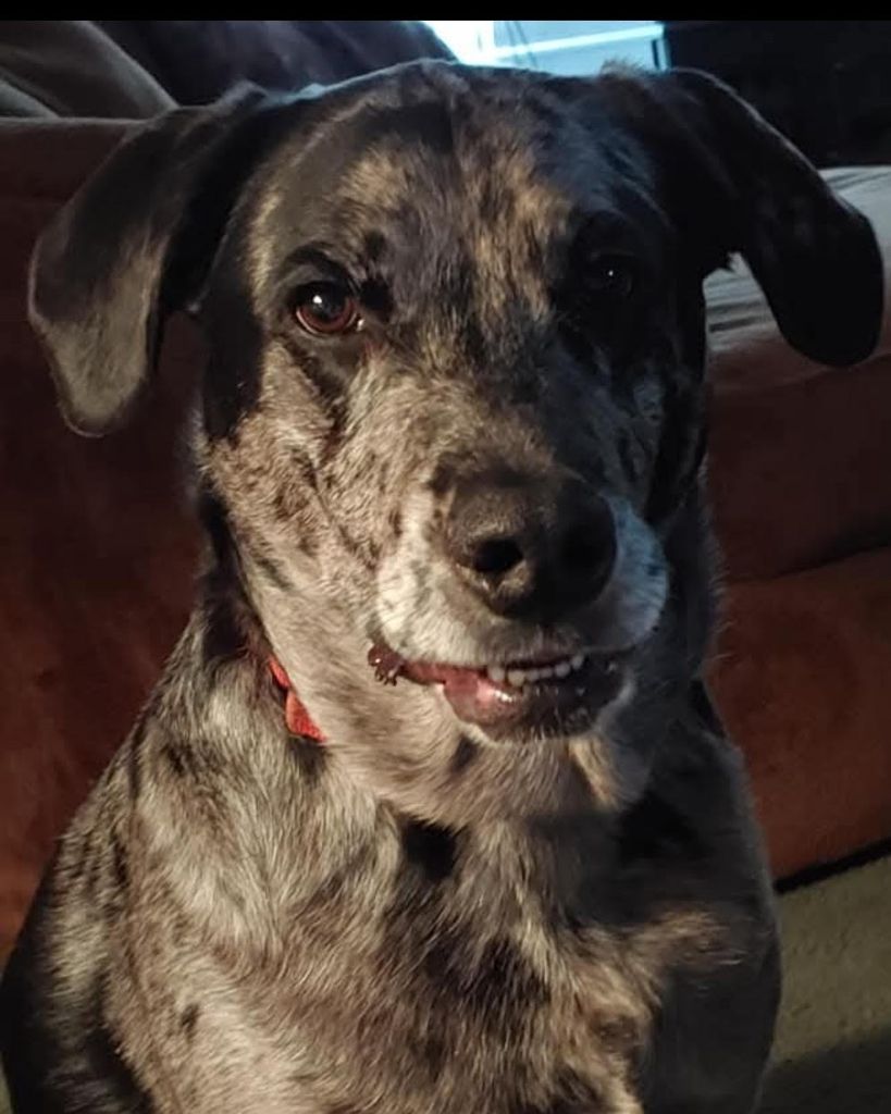 Tucker "Bubba" Engel Profile Photo