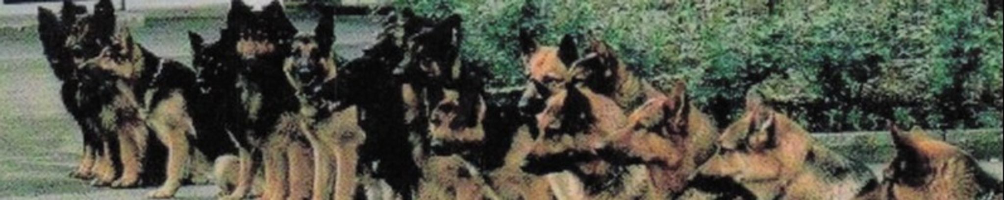 Cover for Larry Presley Chilcoat's Obituary