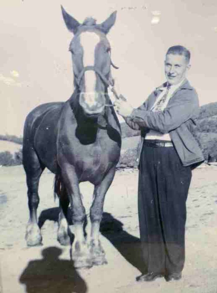 Edwin H. Boltz Profile Photo