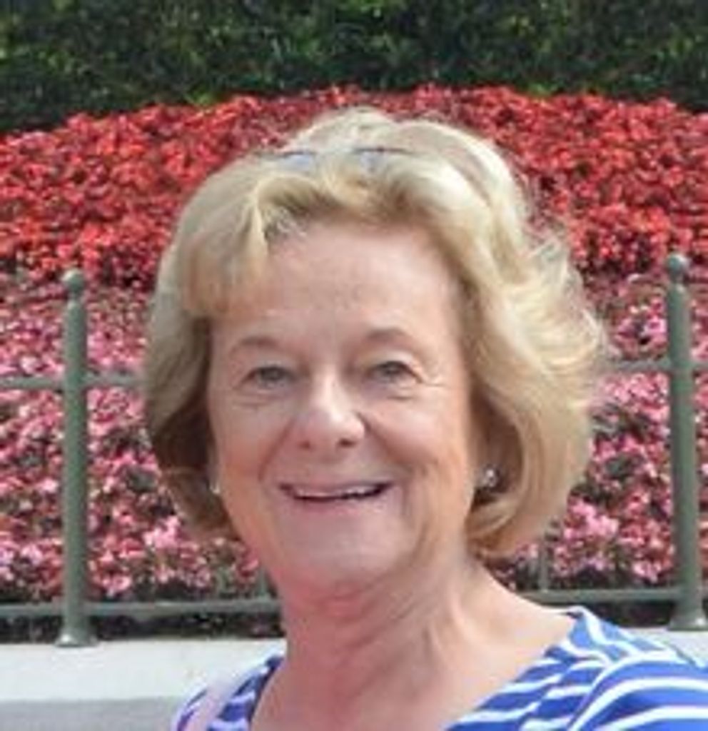 Jane  Ellen (Belliveau)  Driscoll Profile Photo