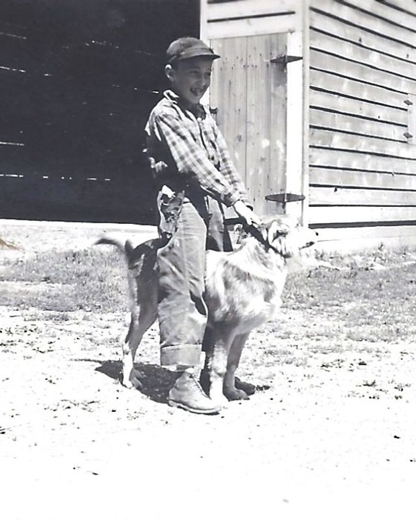 Harry "Ed" Edwin Berkheimer