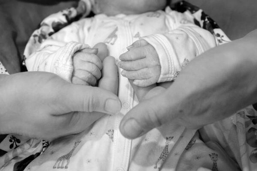 Adalyn R. Schell Profile Photo