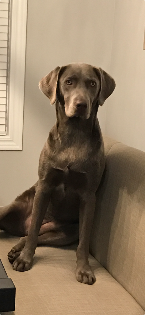 Lexi Profile Photo