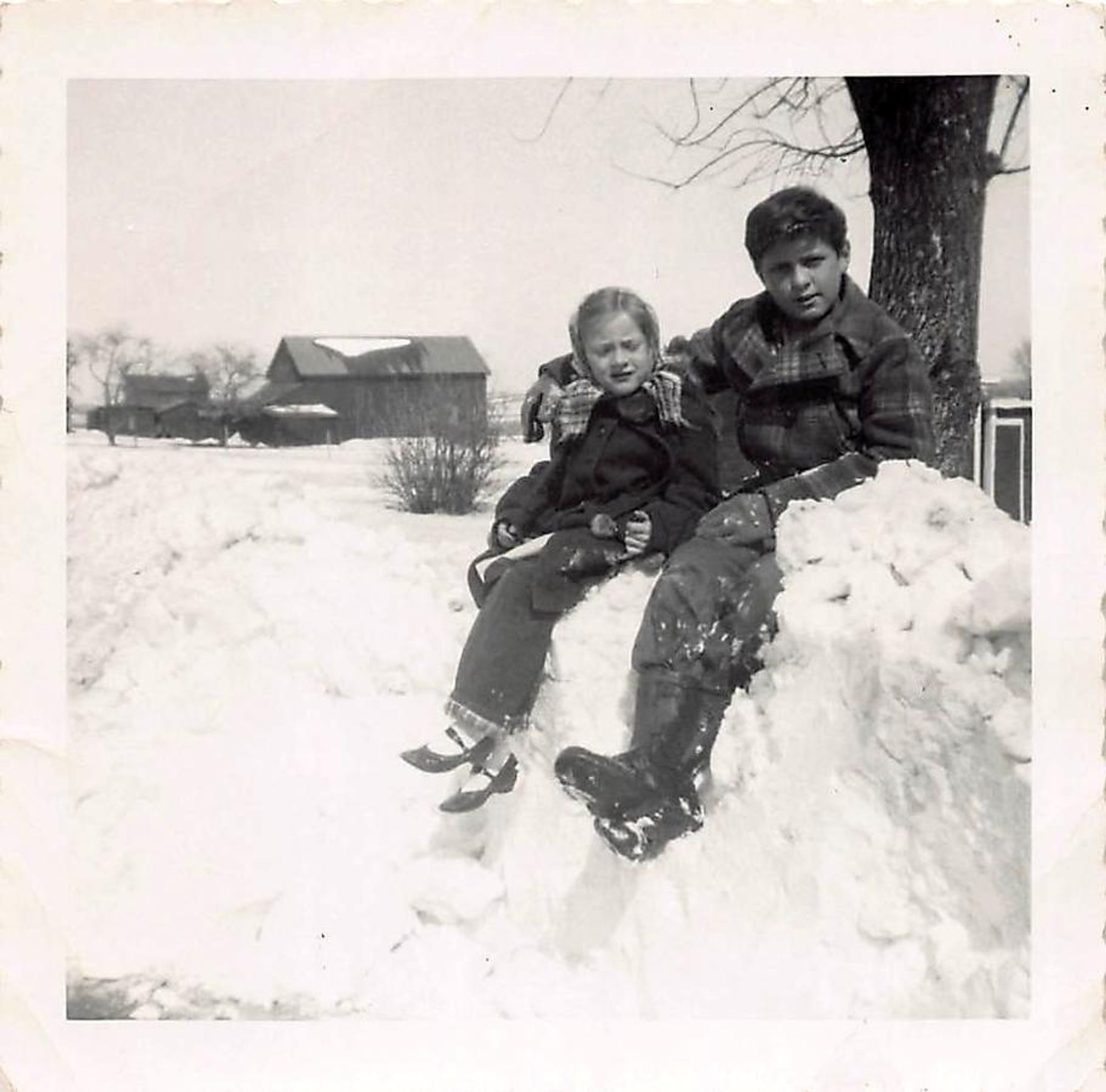 Shirley Ann Sterwald Barber photo gallery image 2 of 43