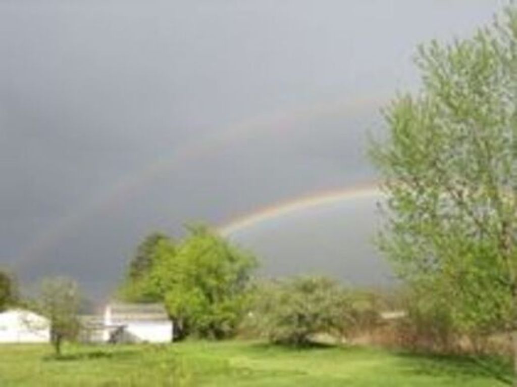 Carol Rockwell Profile Photo