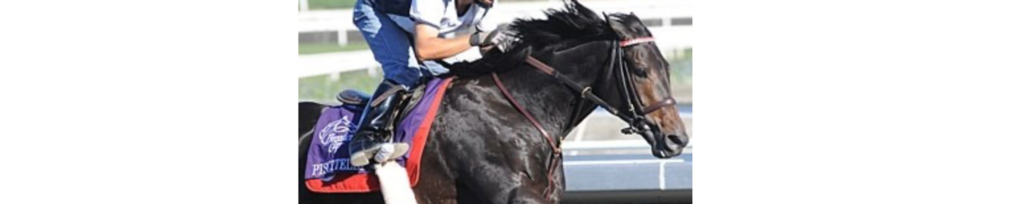 Cover for Robert Lewis "Pisky" PISCITELLI's Obituary