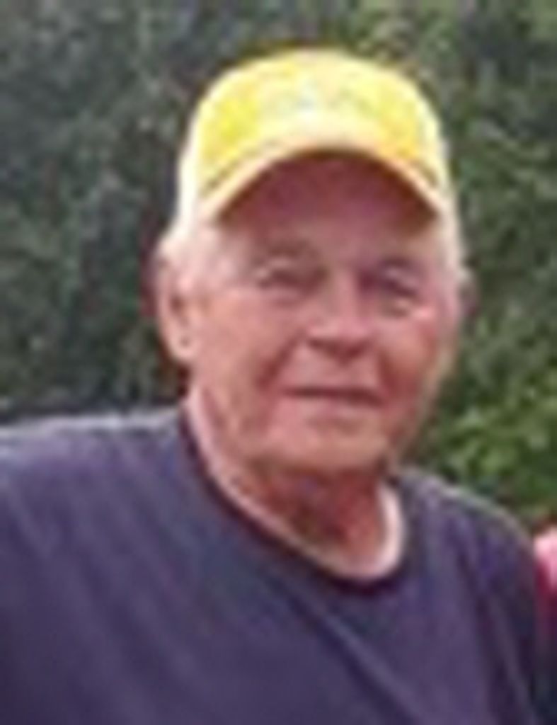 Dennis  Wayne  Holt
