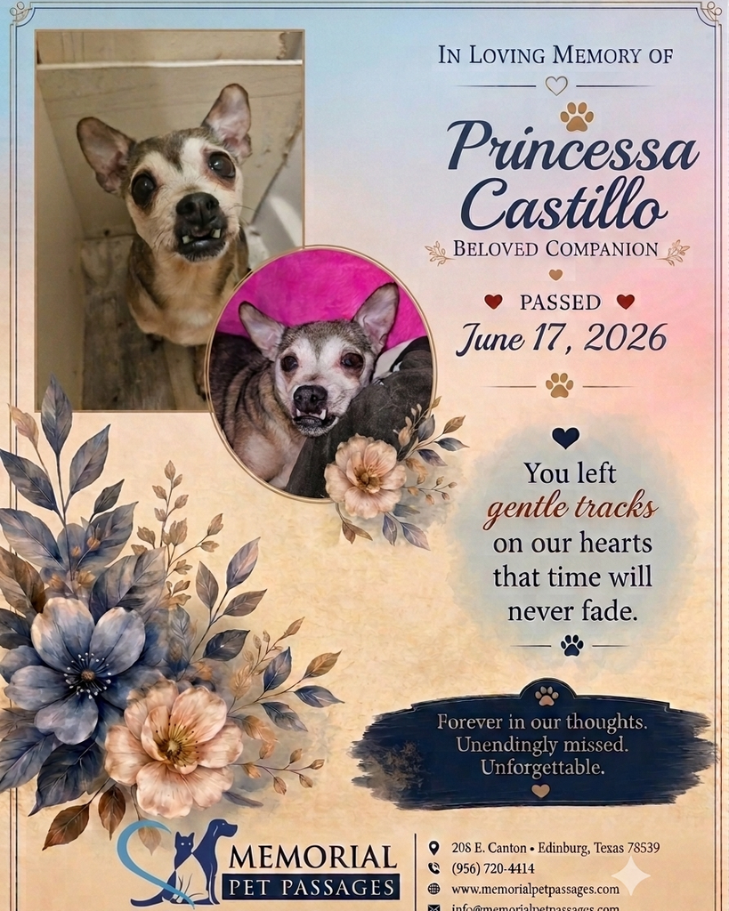 Princessa Castillo Profile Photo