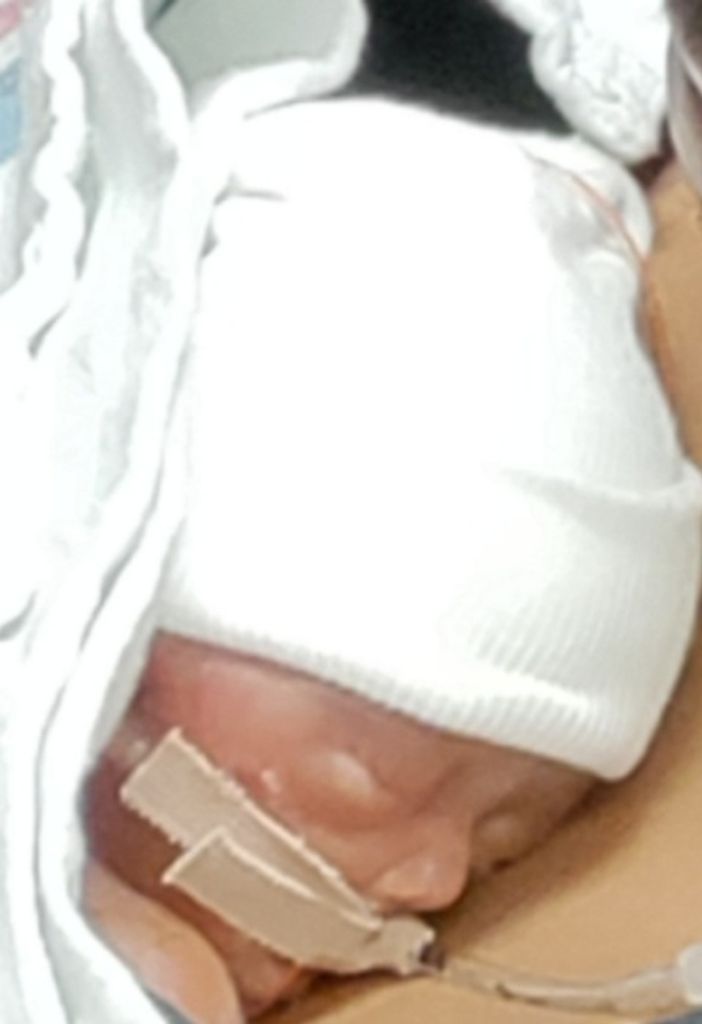 Libby Renee Lovejoy