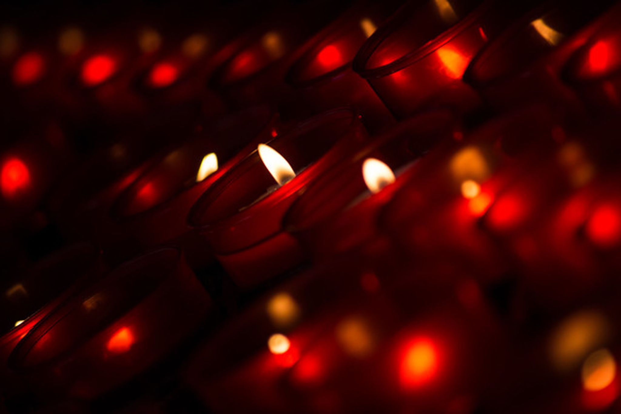 Cover photo for Eusebio Sanchez-Lopez's Obituary