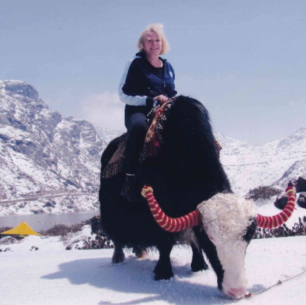 Susan Wells Engelke Profile Photo