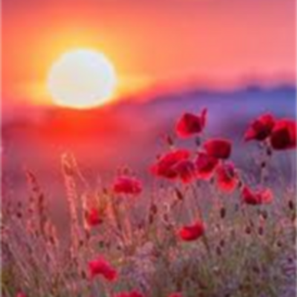 Sharilyn Diane Hartley