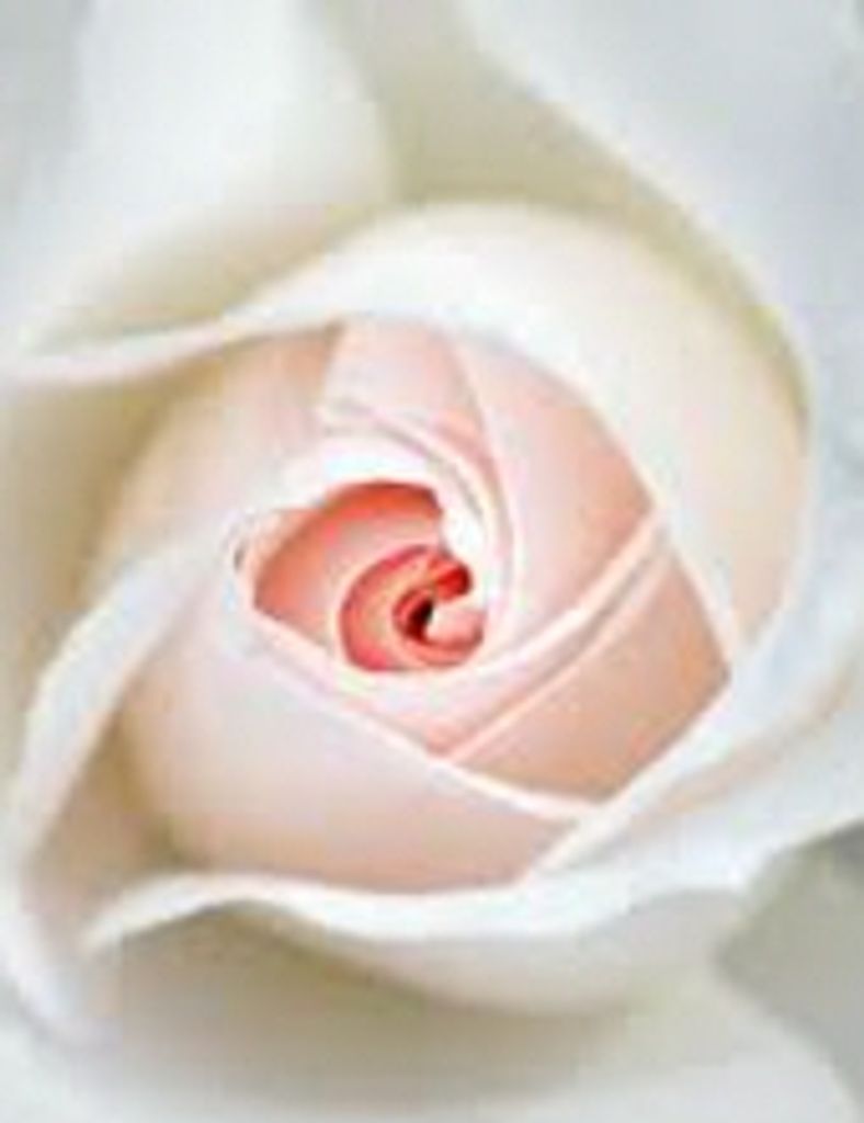 Sally Elizabeth (Betsy) Anderson Yancey