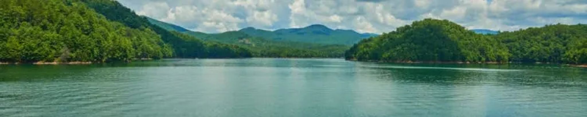 Cover for Terry "Turk" Phillips's Obituary