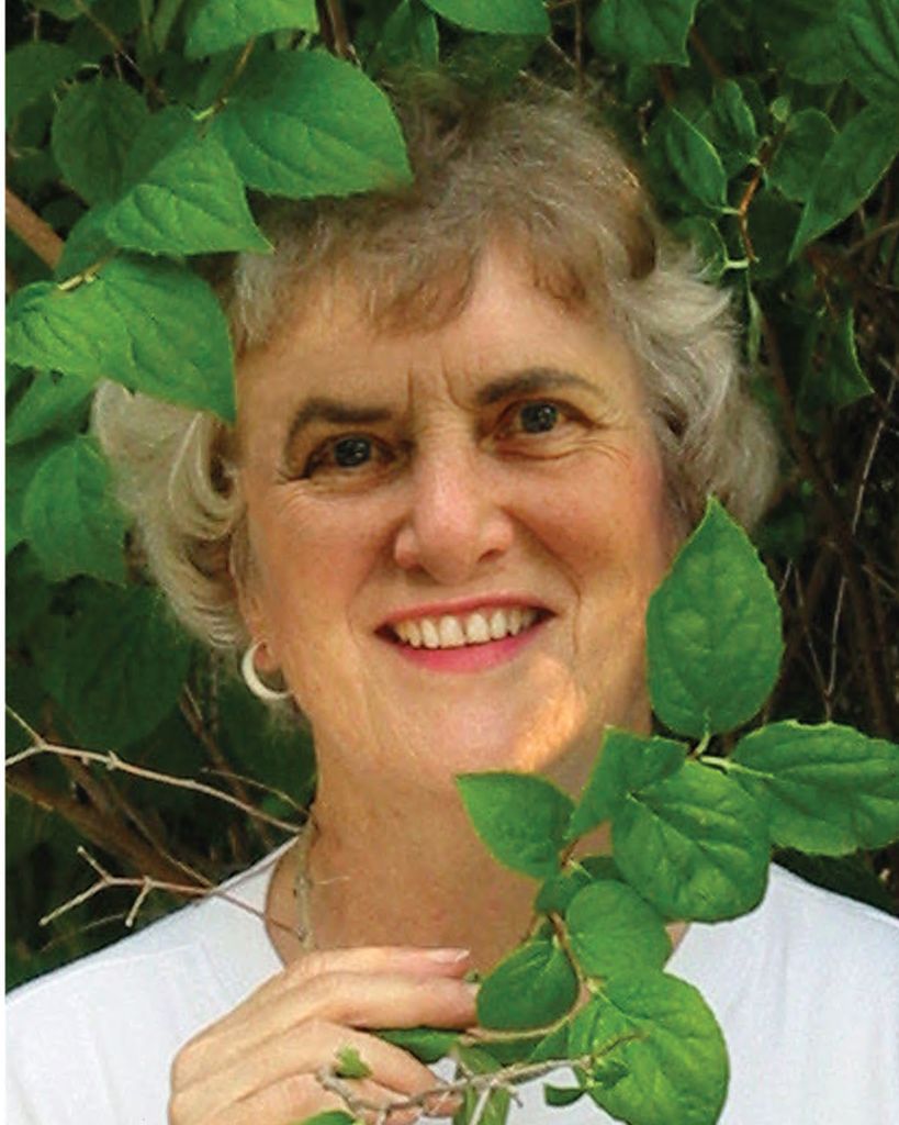 Judy Ellis